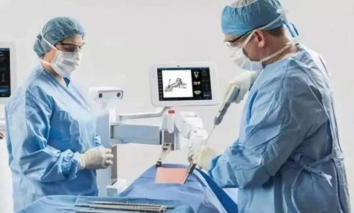 进博会 全球创新舞台，首发新品与技术汇聚引领未来